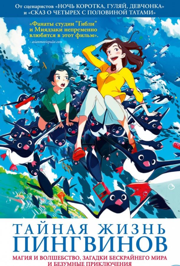 Тайная жизнь пингвинов (2018) онлайн бесплатно