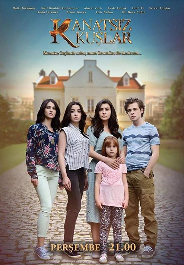 Птицы без крыльев (2017) онлайн бесплатно
