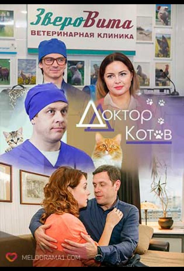 Доктор Котов (2018) онлайн бесплатно